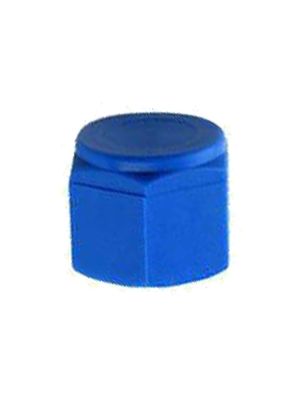 Bouchon avec filetage interne BSPT